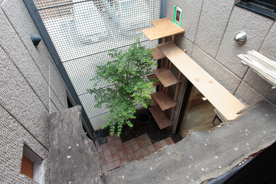 パティオを上から見たところ。室内から植栽を眺めると癒されます。